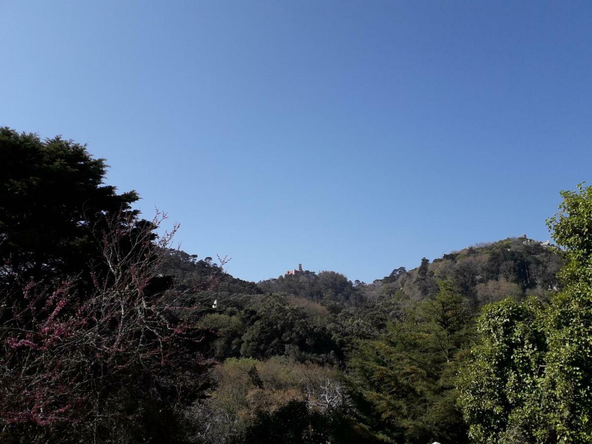 Villa A Casinha Sintra Esterno foto